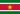 Suriname Country Flag